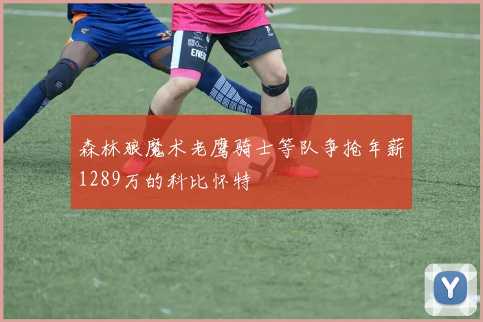森林狼魔术老鹰骑士等队争抢年薪1289万的科比怀特