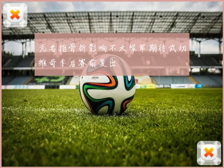 无名指骨折影响不大绿军期待武切维奇季后赛前复出