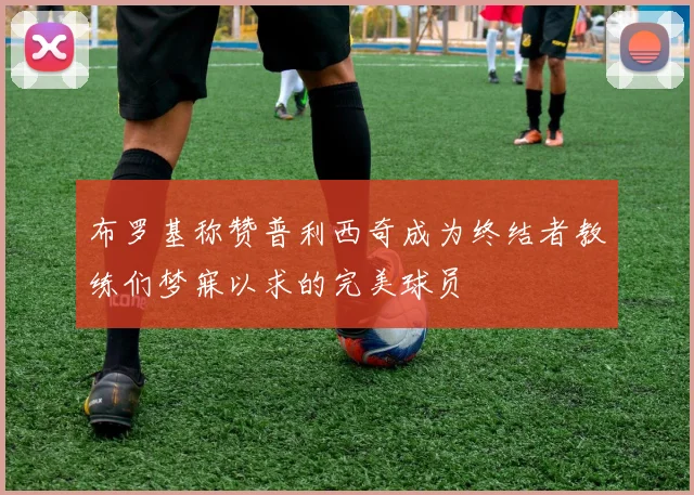 布罗基称赞普利西奇成为终结者教练们梦寐以求的完美球员
