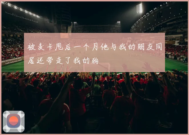 被麦卡甩后一个月他与我的朋友同居还带走了我的狗