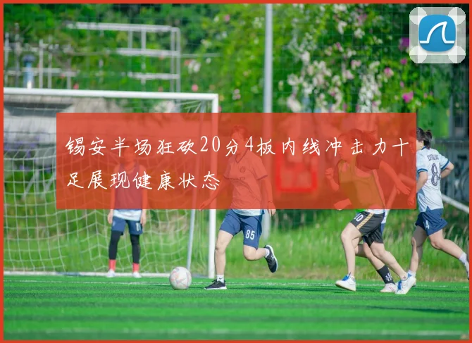 锡安半场狂砍20分4板内线冲击力十足展现健康状态