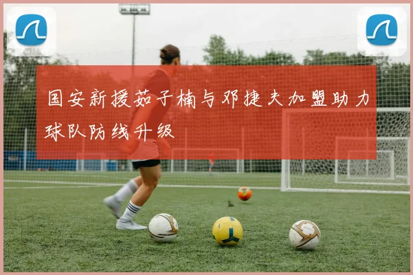 国安新援茹子楠与邓捷夫加盟助力球队防线升级